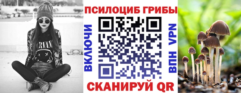 Галлюциногенные грибы MAGIC MUSHROOMS  Струнино 