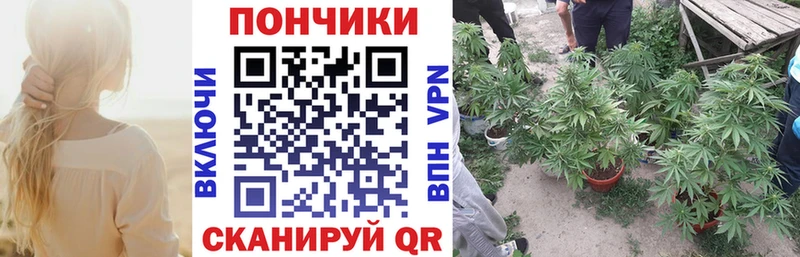 Конопля ГИДРОПОН Струнино